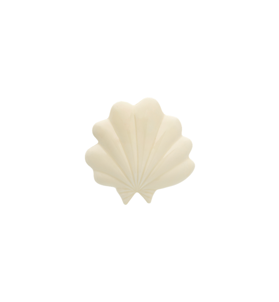 Shell Wall Decoration